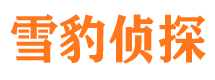 延长寻人公司